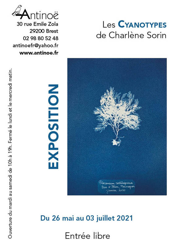 Exposition - Les Cyanotypes de Charlène Sorin - du 26 mai au 03 juillet 2021