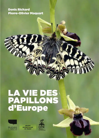 La vie des papillons d'Europe.