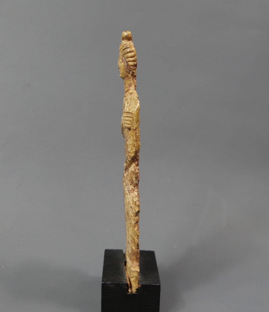 Vénus anadyomène. Antinoë