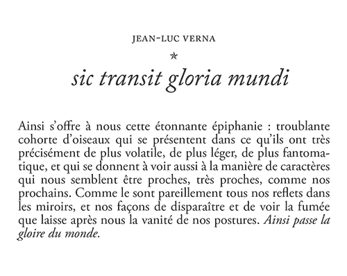 Sic transit gloria mundi. Collection The drawing room.