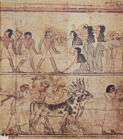 Illustrations pour l'Eternité: Peintures et dessins égyptiens provenant des collections nationales de Belgique et des Pays-Bas.