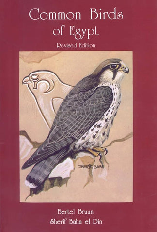 Common Birds of Egypt - Revised Edition.