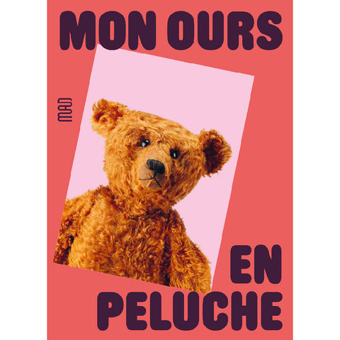 Mon Ours en peluche.