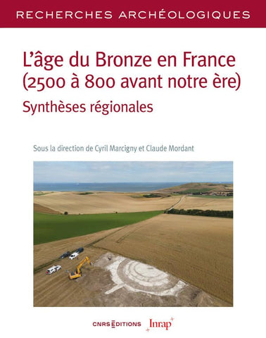 The Bronze Age in France (2500 to 800 BC). Regional synthesis.