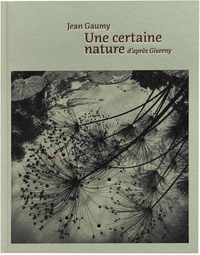 A certain nature after Giverny.