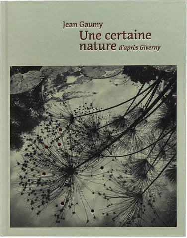 A certain nature after Giverny.