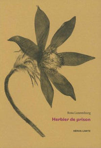 Herbier de prison.