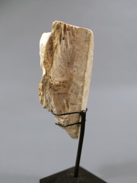 Élement de tabletterie.