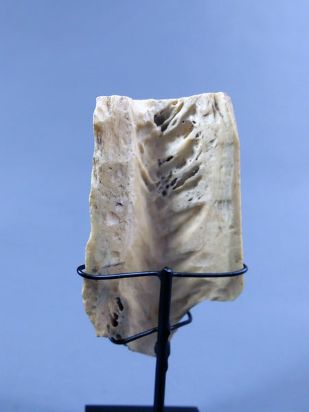 Élement de tabletterie.