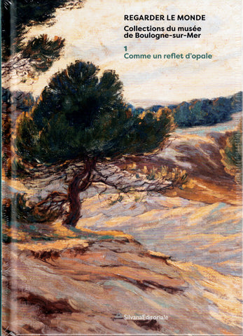 Regarder le monde. Collections du musée de Boulogne-sur-Mer. Tome 1 - Comme un reflet d'opale.