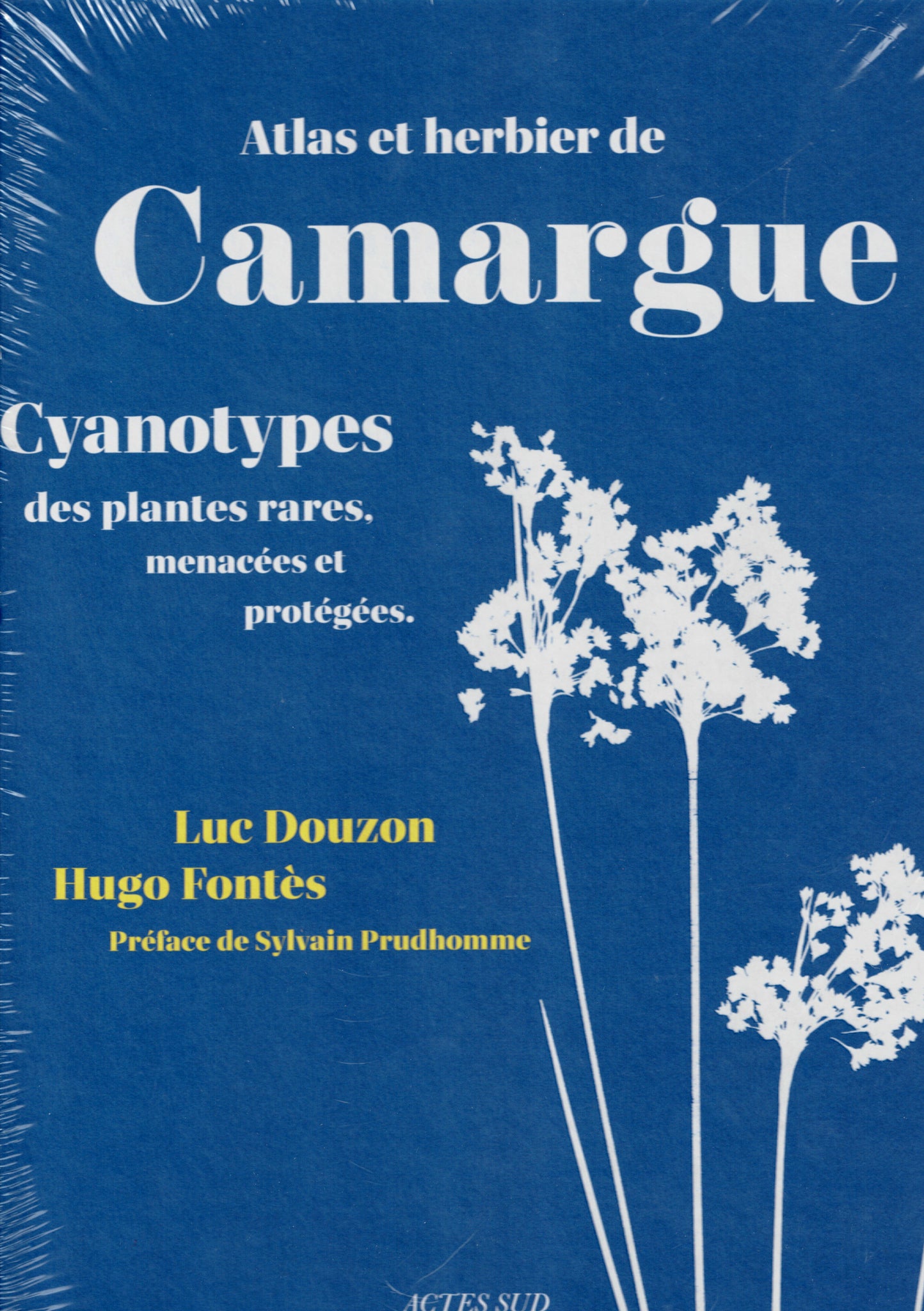 Atlas et herbier de Camargue. Cyanotypes des plantes rares, menacées et protégées.