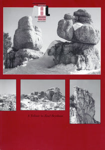A Tribute to Ziad Beydoun. Archaeology & History in the Lebanon. Spring 2002, ISSUE FIFTEEN.