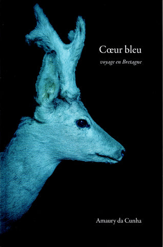 Coeur bleu. Voyage en Bretagne.
