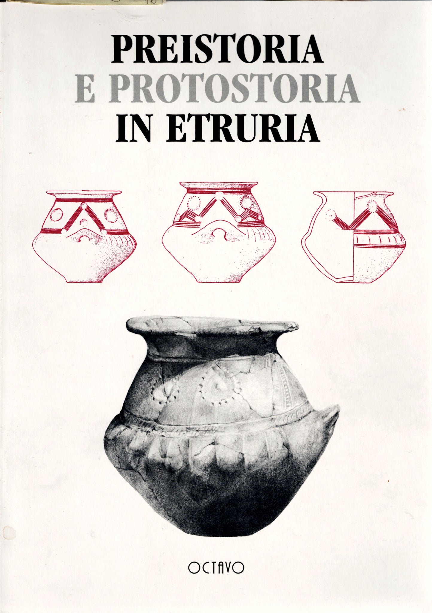 Preistoria e protostoria in Etruria. Protovillanoviani e/o Protoetruschi. Ricerche e Scavi a cura di Nuccia Negroni Catacchio.