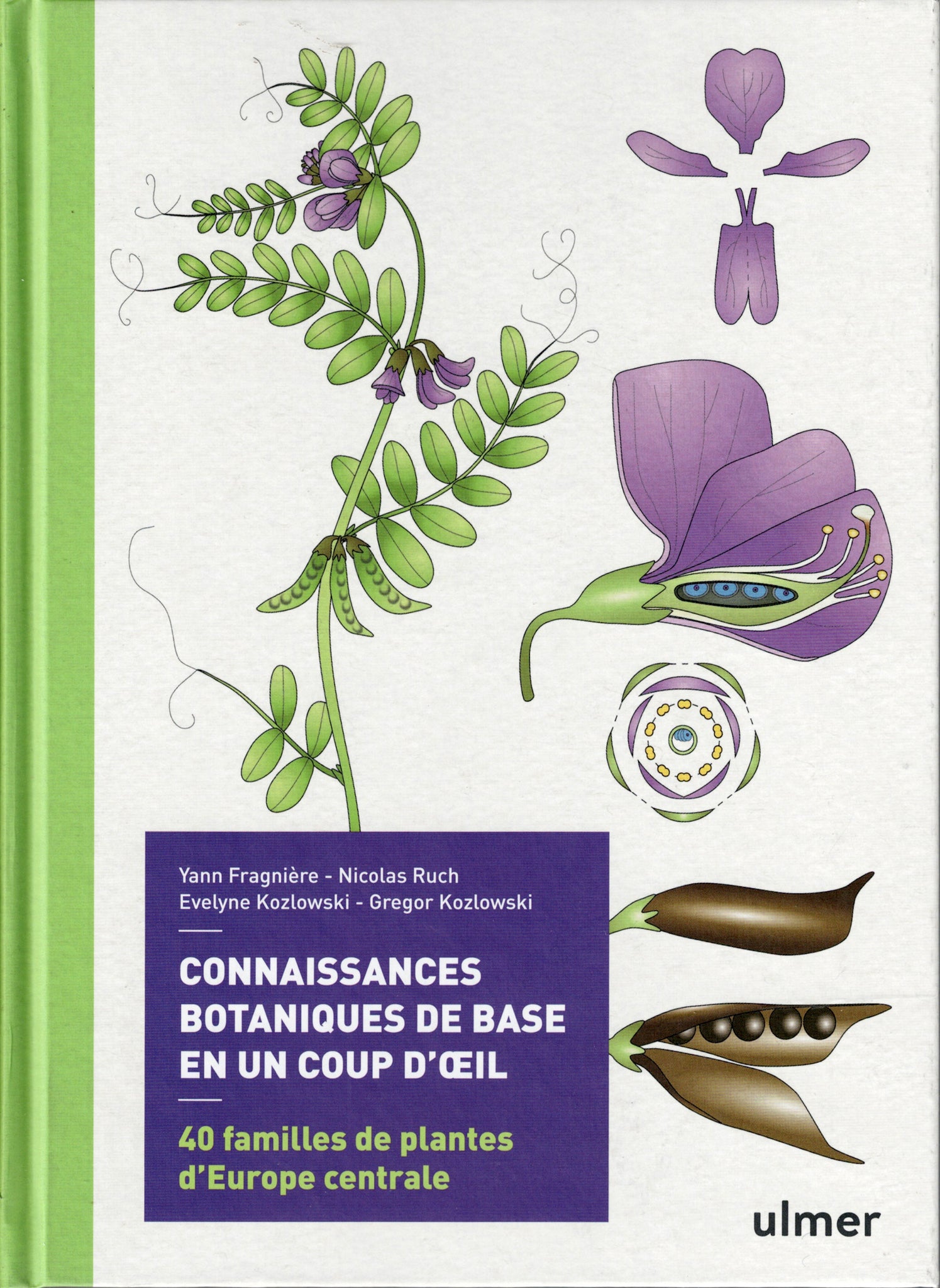 Connaissances botaniques de base ne un coup d'oeil.