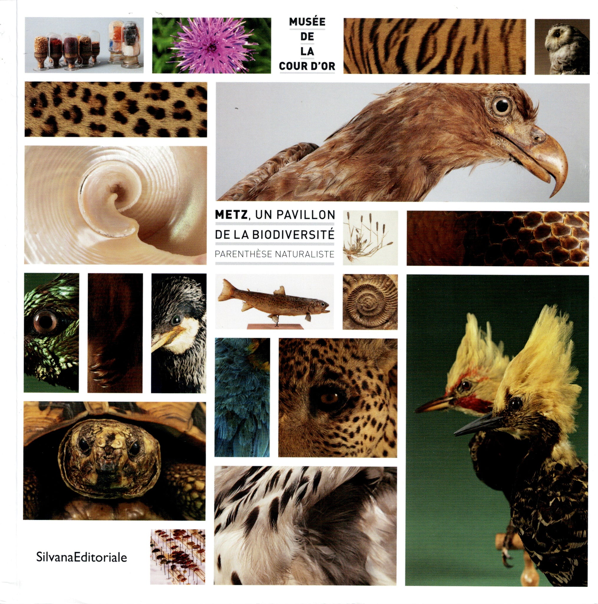 Metz, un pavillon sur la biodiversité. Parenthèse naturaliste.