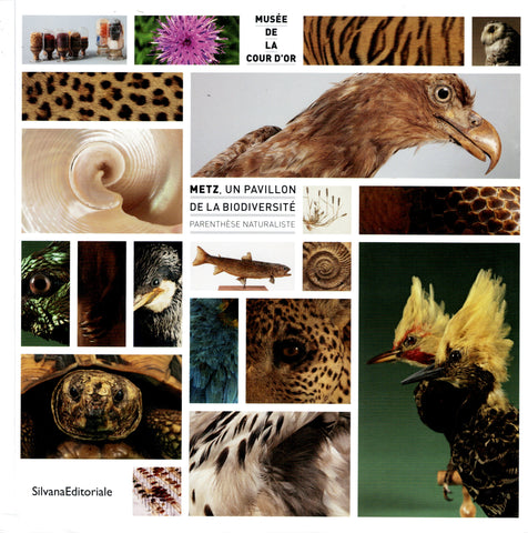 Metz, un pavillon sur la biodiversité. Parenthèse naturaliste.