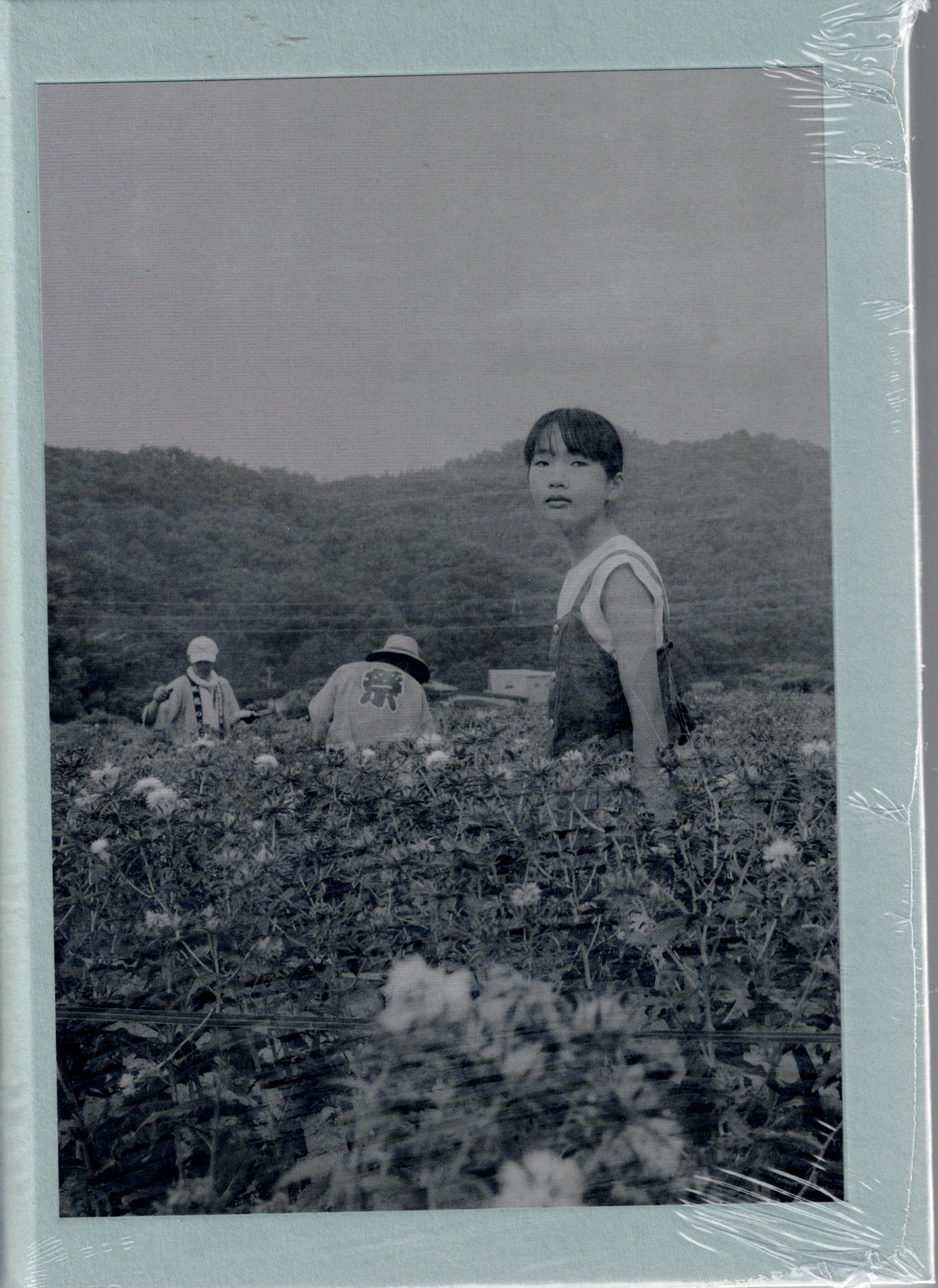 Flower(s) — Vol. 1