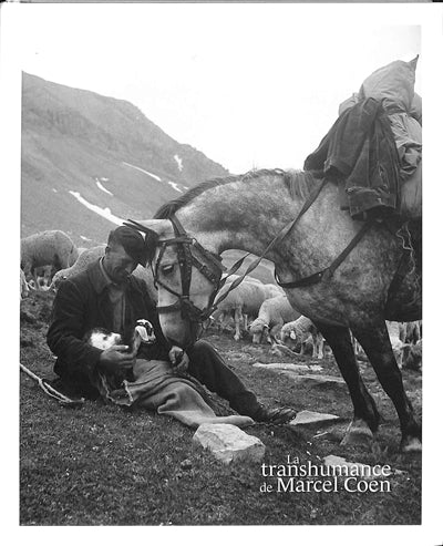 La transhumance de Marcel Cohen.