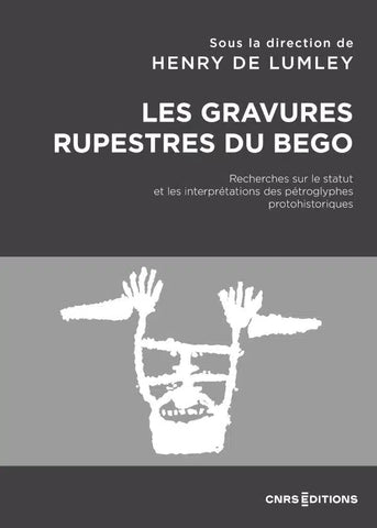 Les gravures rupestres du Bego. Recherche sur le statut et les interprétations des pétroglyphes protohistoriques.