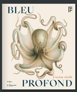 Bleu profond. L'océan révélé.