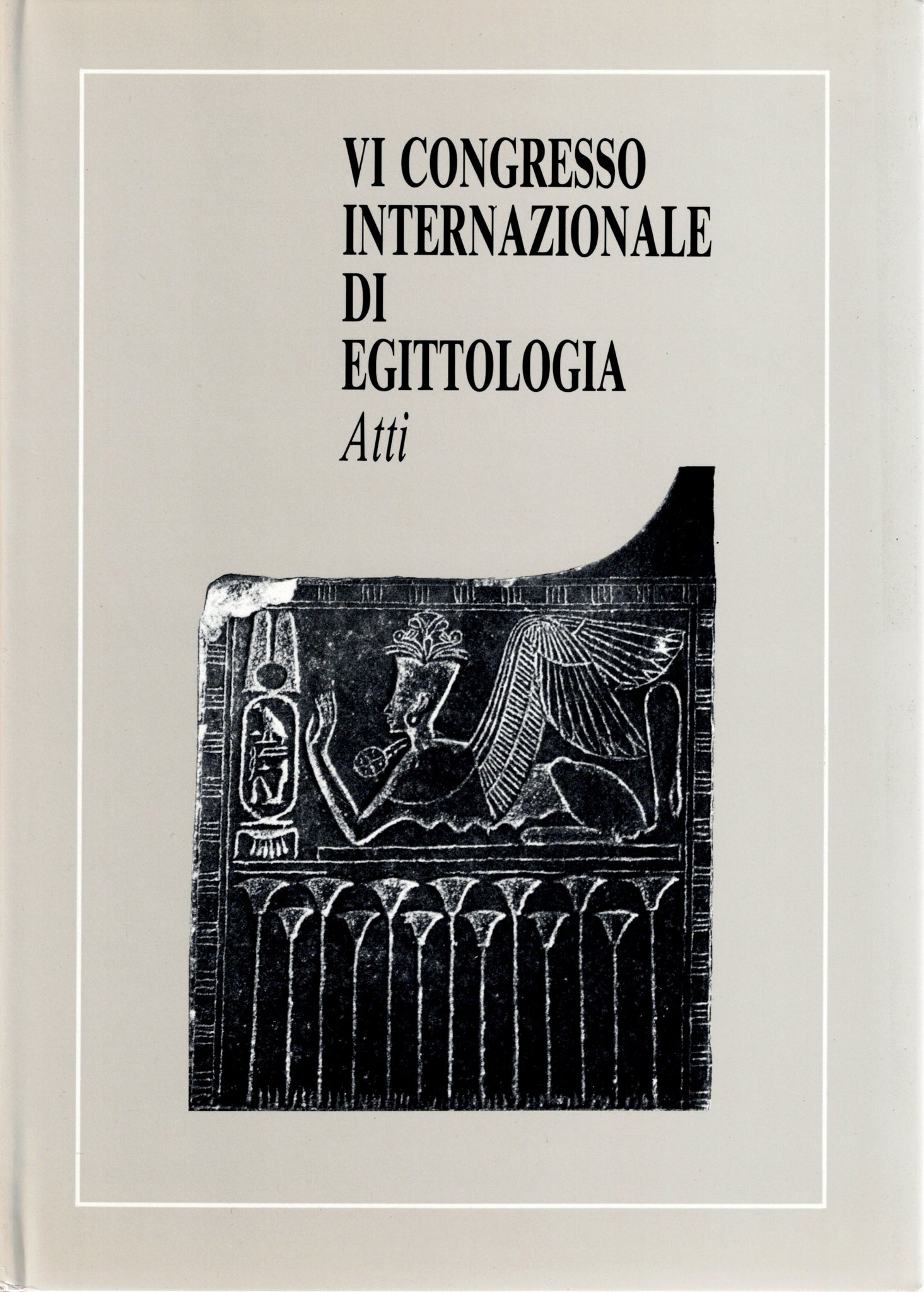 VI international congress of egittologia. Atti.