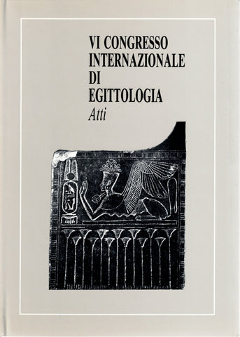 VI international congress of egittologia. Atti.