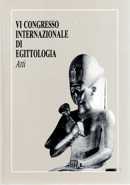 VI international congress of egittologia. Atti.