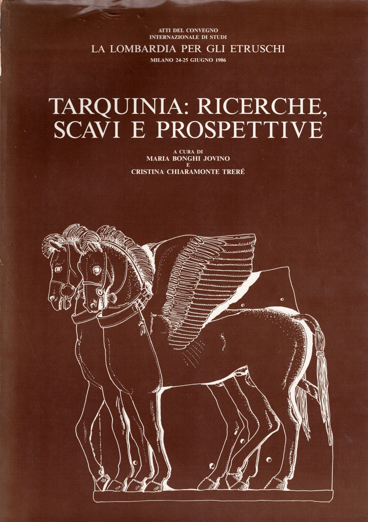 Tarquinia: Ricerche, Scavi e Prospettive.