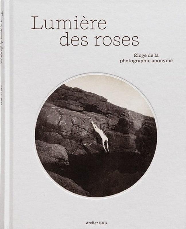 Light of roses. In praise of anonymous photography.
