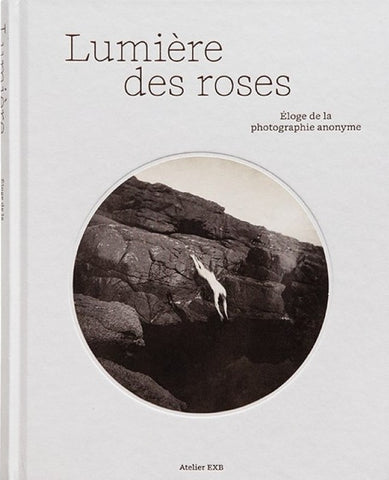 Light of roses. In praise of anonymous photography.