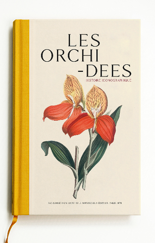 Orchids. Iconographic Stories.