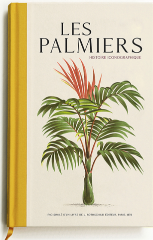 Palm trees. Iconographic history.