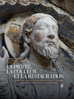 La pierre, la couleur et la restauration Le portail polychromé de la cathédrale d'Angers (XIIe-XXIe siècle). Contribution à l'étude des portails médiévaux en France et en Europe.