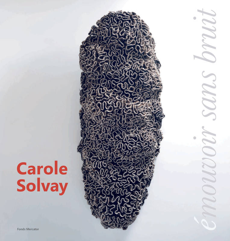 Carole Solvay. Emouvoir sans bruit.