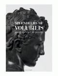 Splendeurs de Volubilis. Bronzes antiques du Maroc et de Méditerranée.