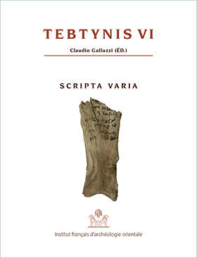 Tebtynis VI. Scripta Varia. FIFAO 78.