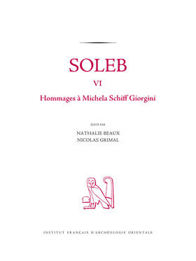 Soleb VI. Hommages à Michela Schiff Giorgini. BiGen 45.