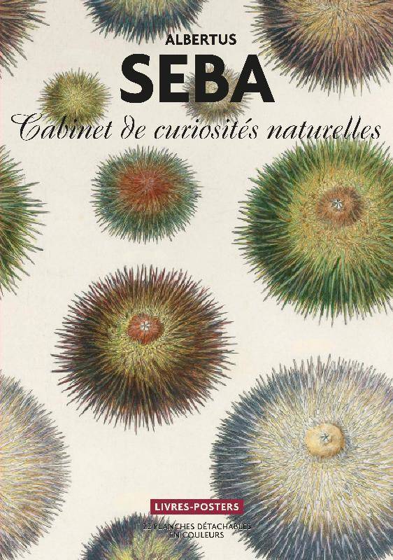 Albertus Seba. Cabinet de curiosités naturelles.