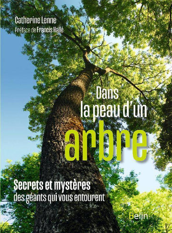 Dans la peau d’un arbre. Secrets et mystères des géants qui vous entourent.