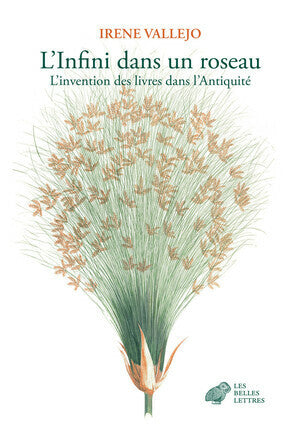 L'infini dans un roseau. L'invention des livres dans l'Antiquité.