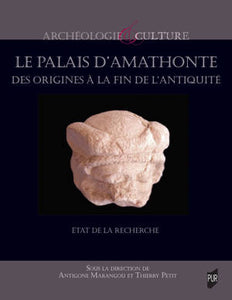 Le palais d'Amathonte: des origines à la fin de l'Antiquité.