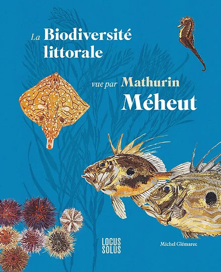 La biodiversité littorale vu par Mathurin Méheut.