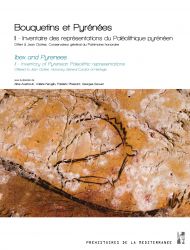Bouquetins et Pyrénées. II - Inventaire des représentations du Paléolithique pyrénéen. Offert à Jean Clottes, Conservateur général du Patrimoine honoraire.